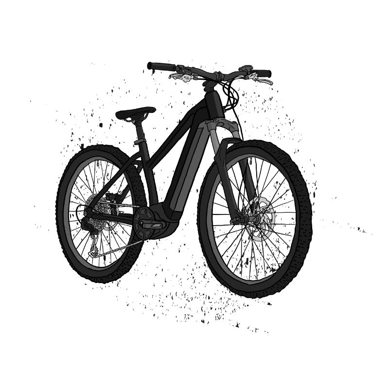 E Bike Schwarz