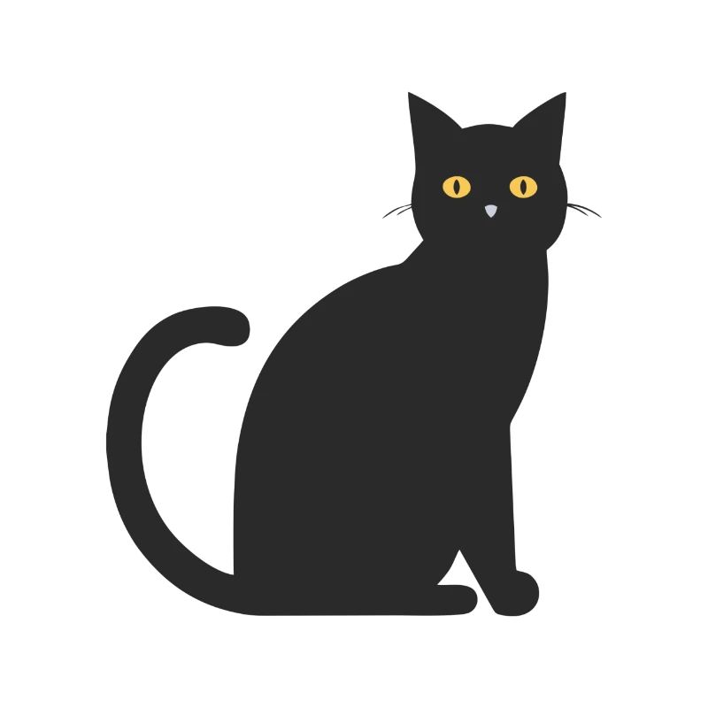 chat noir