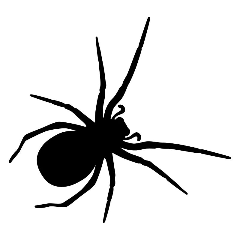 grosse araignée pour Halloween