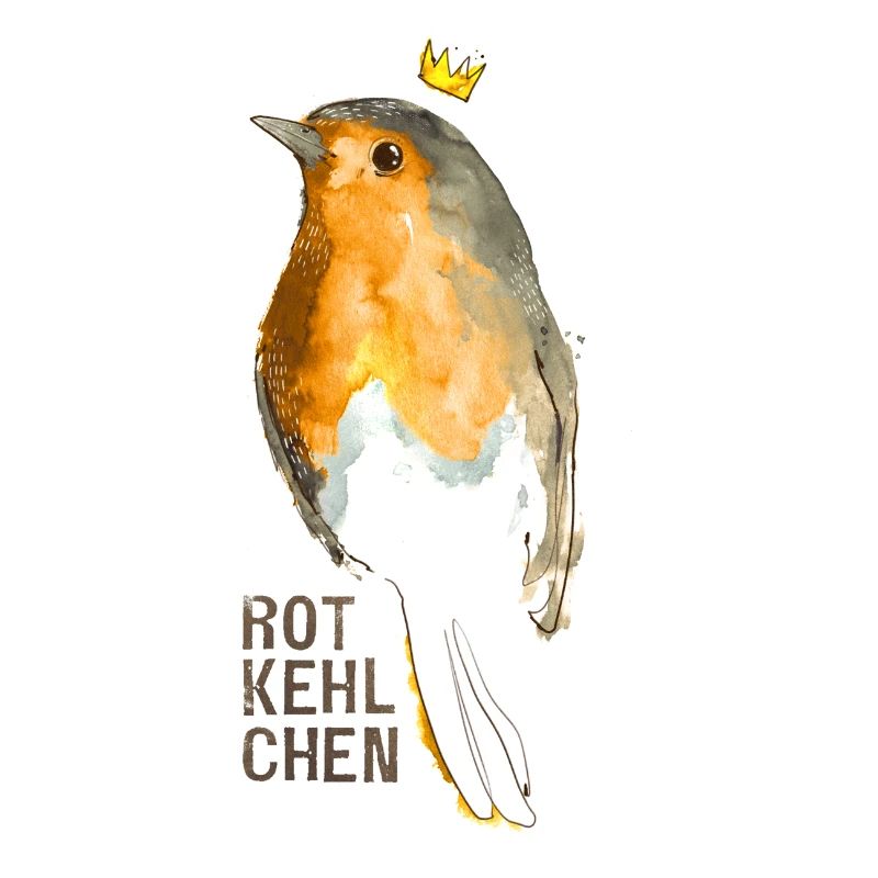 robin