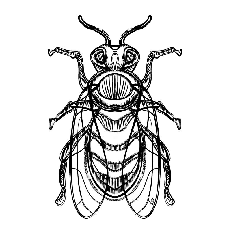 Bee pattern / Beekeeping / beekeeper / honey