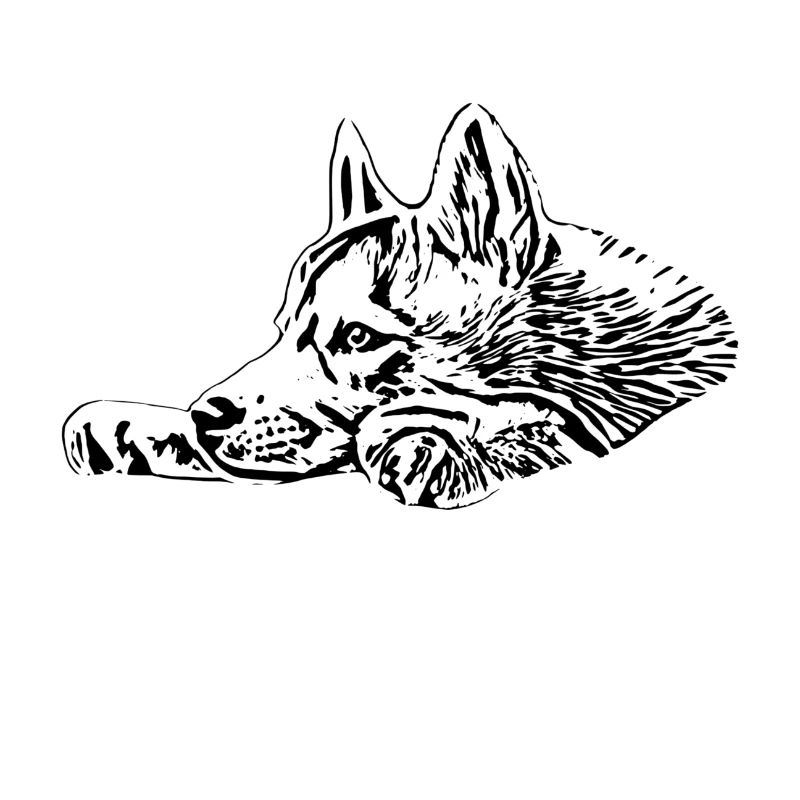 Husky