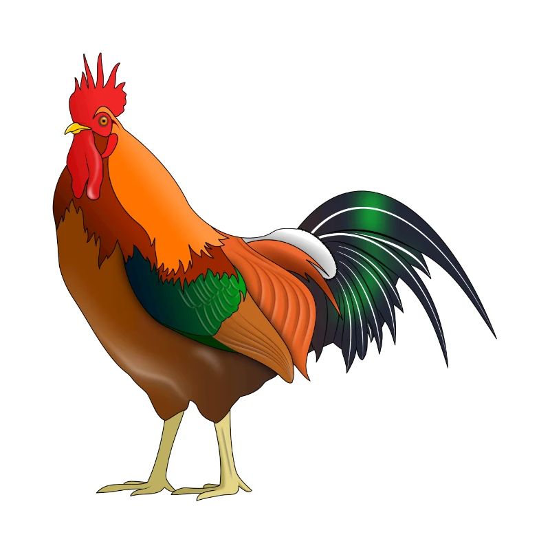Coq