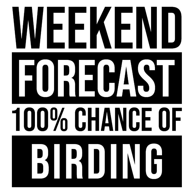 Birder
