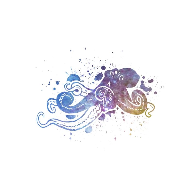 Octopus