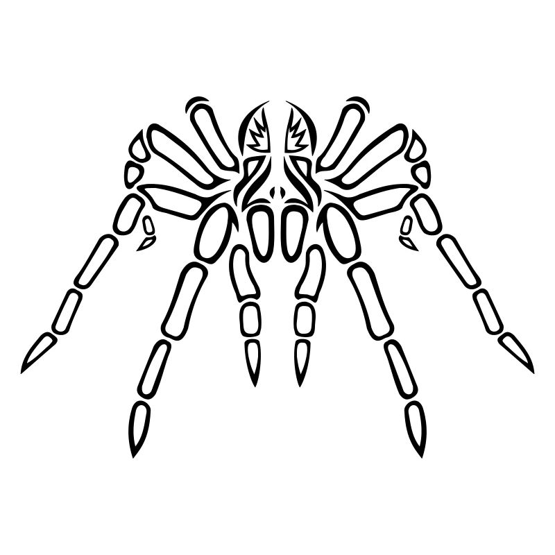 Die Umrisse einer Tribal Tarantel