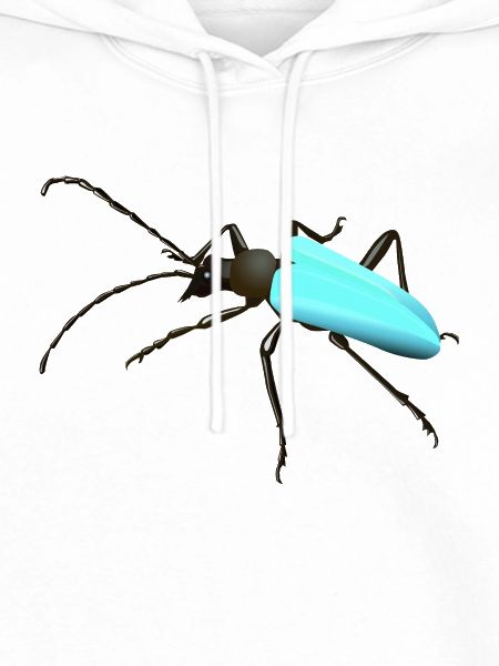 Bug - Insekt
