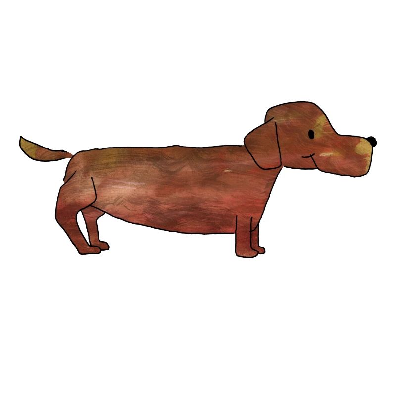 Dackel, Dachshund