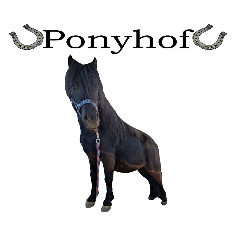 Pony hof mit echtem Pferd - Schwarz