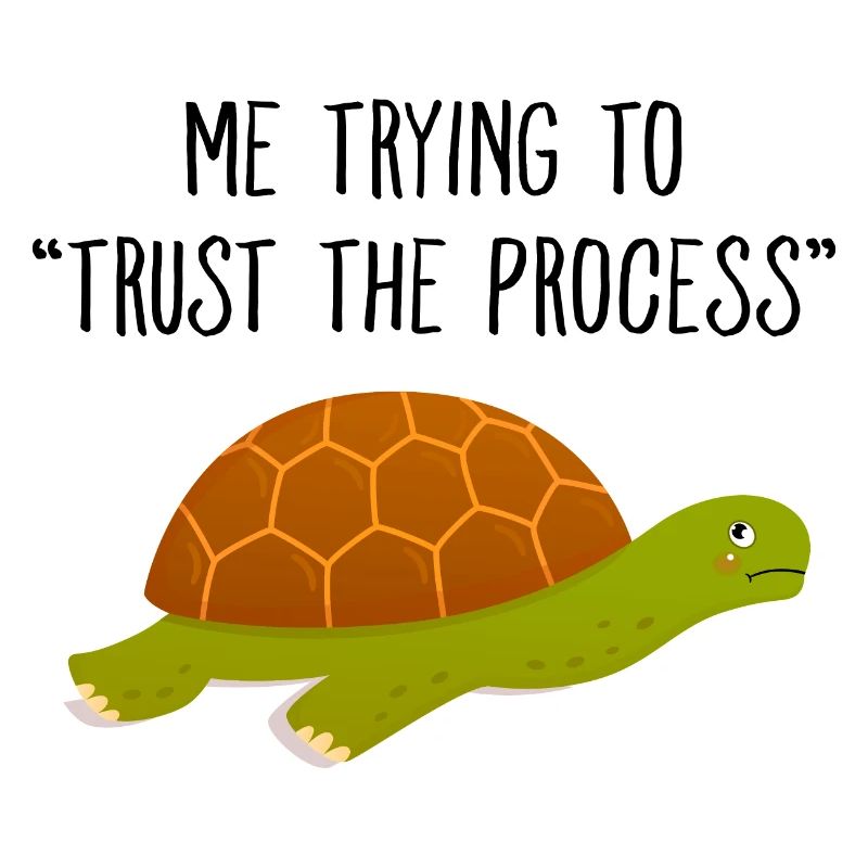 Me Trying To Trust The Process Turtle Meme