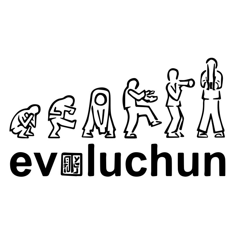 évolution des formes aile chun
