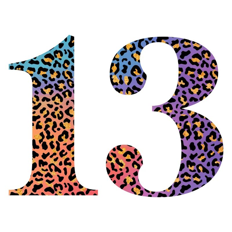 13e anniversaire léopard
