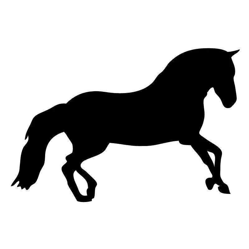 Pferd Pferd Silhouette Schatten shadow10
