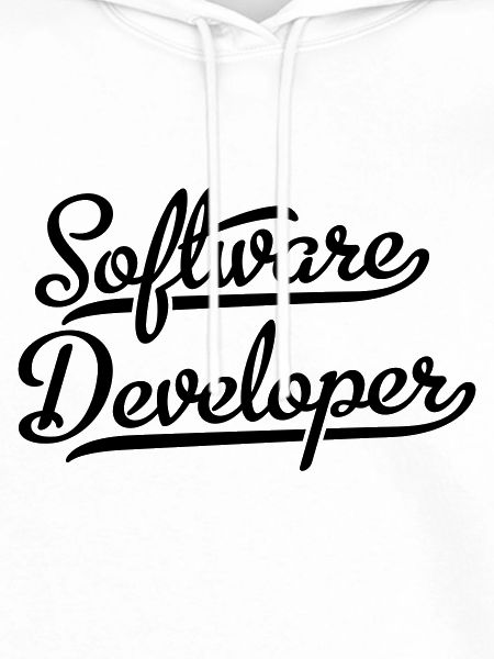 Software Developer