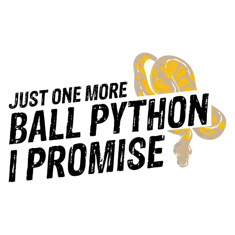 King python design pour les amateurs de serpents