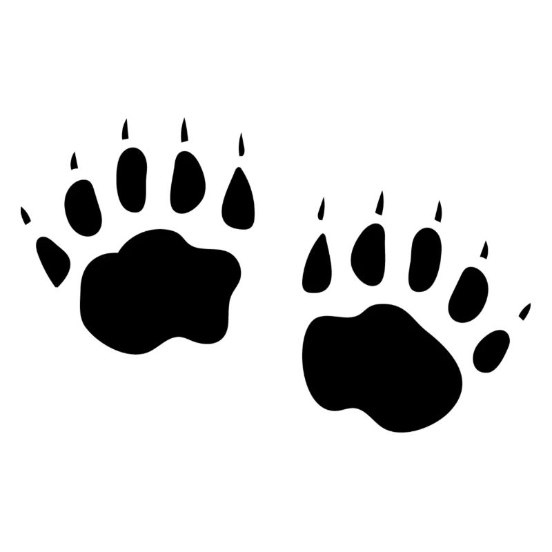 DACHS
