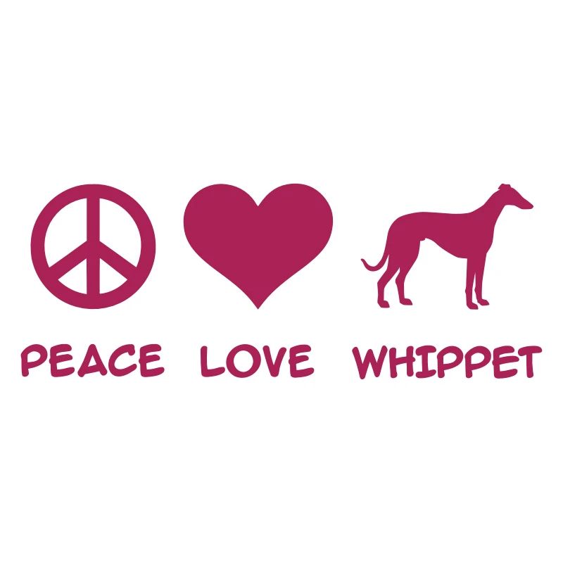 Whippet