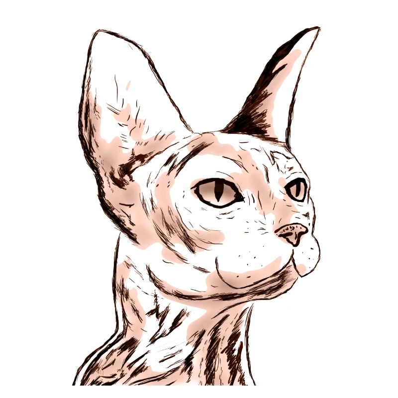 SMALL SPHINX