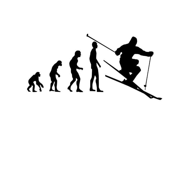Skis Evolution