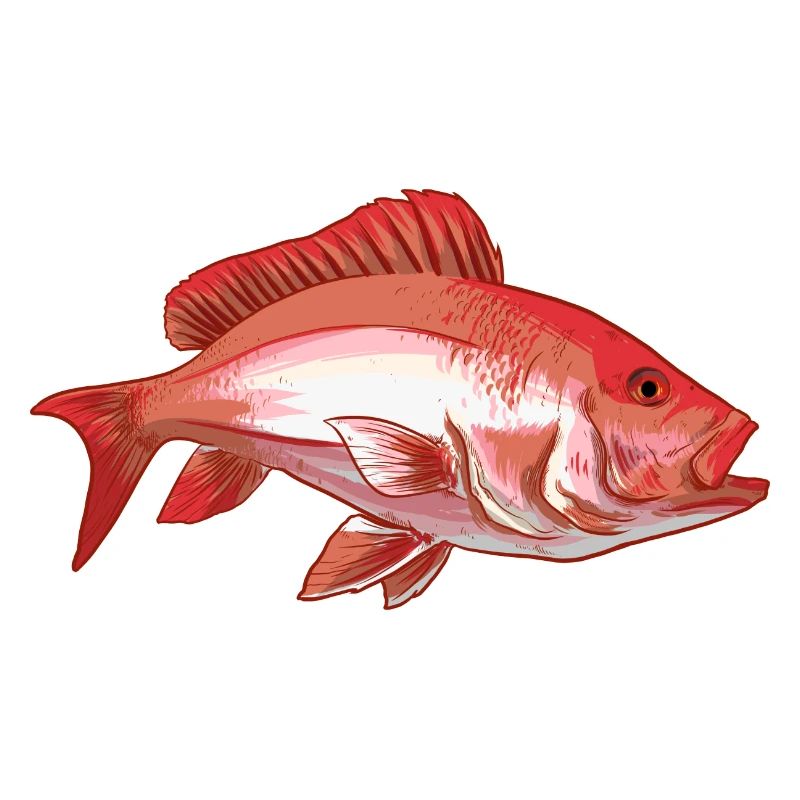 Red Snapper Fish