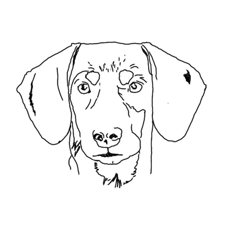 Dackel