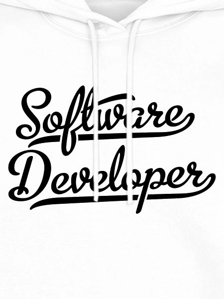 Software Developer