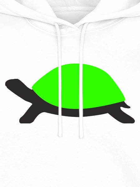 Drawn Turtle