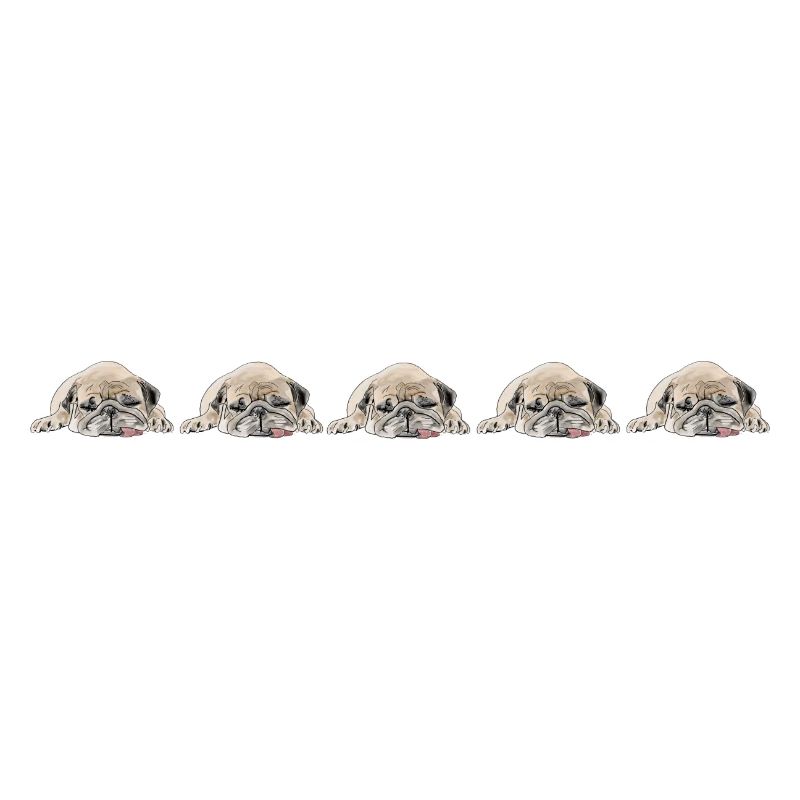 5 Carlins