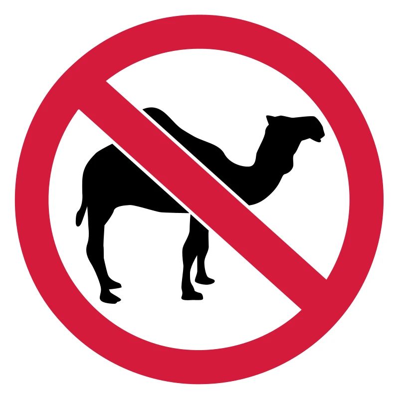 camel