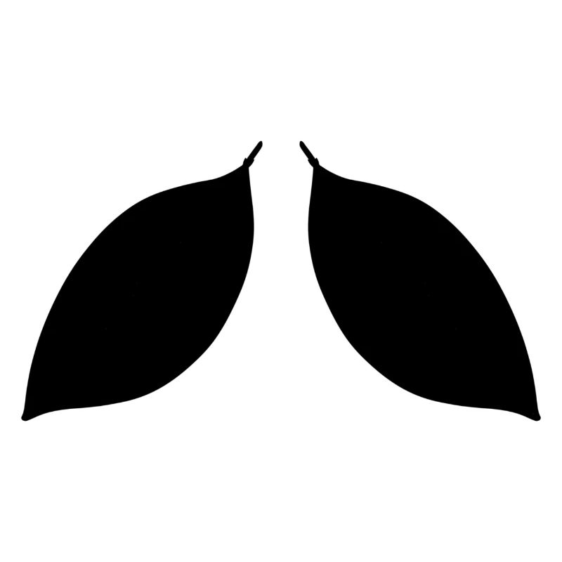 zwei Blätter blatt symbol
