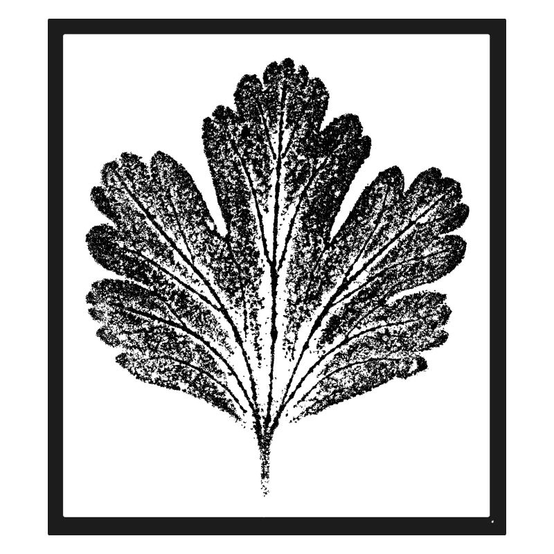 Feuille
