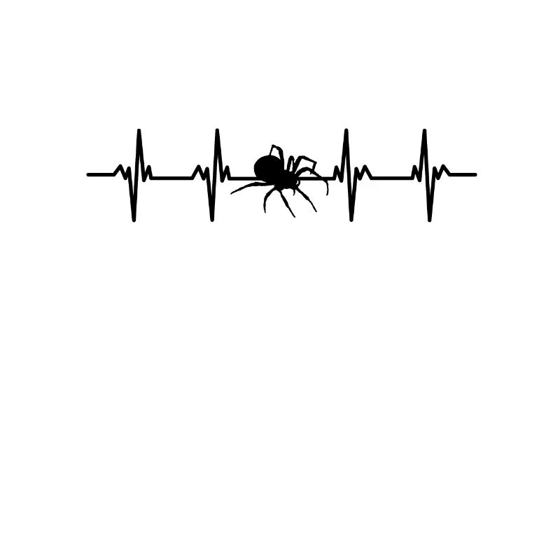 Spiders Spider web web arachnid legs 8 spider