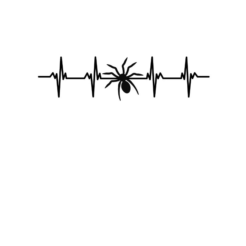 Spiders Spider web web arachnid legs 8 spider