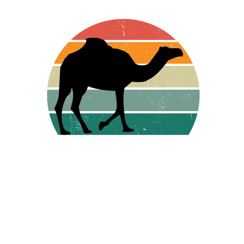 Camels Camel Desert Arabia Dromedary Camel