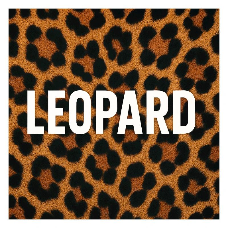 Déclaration moderne du léopard