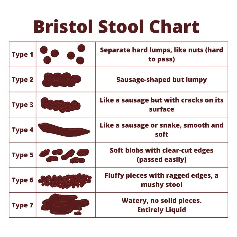 Bristol Scale Bristol Stool Chart