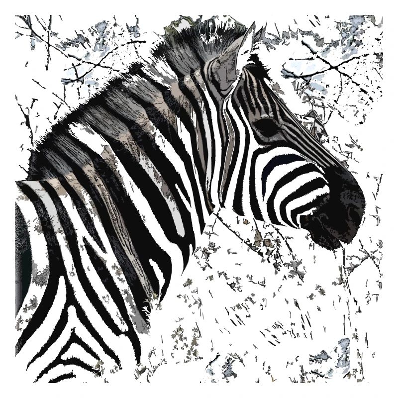 Zebra head (2)
