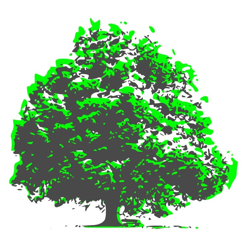 Baum