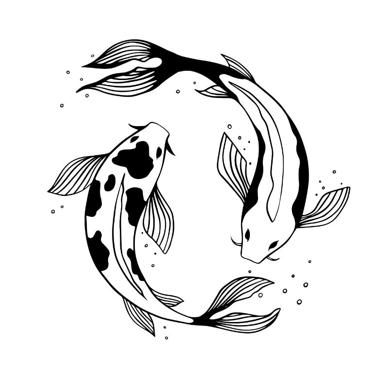 Fish, ying and yang, koi fish, koi fish, fish
