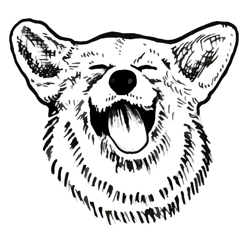 Corgie