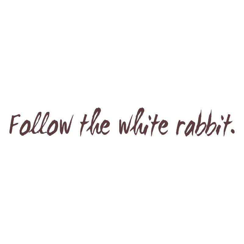 Follow the white rabbit programming cadeau