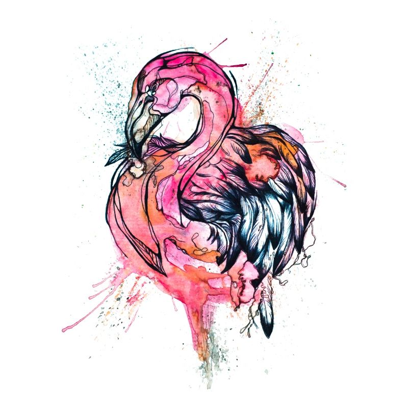 flamingo