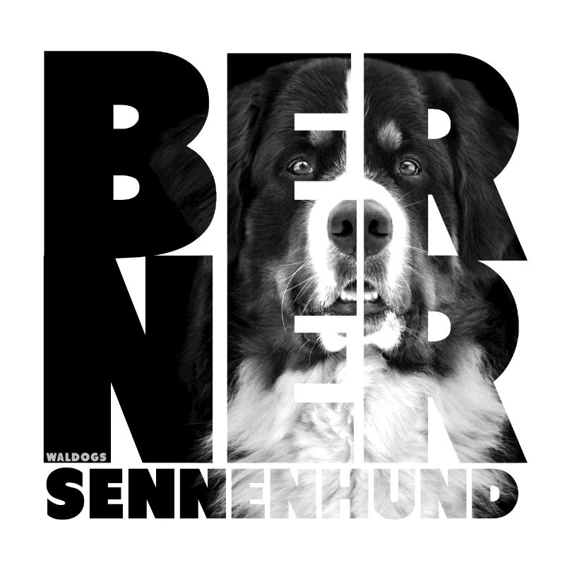 NASSU Berner BW