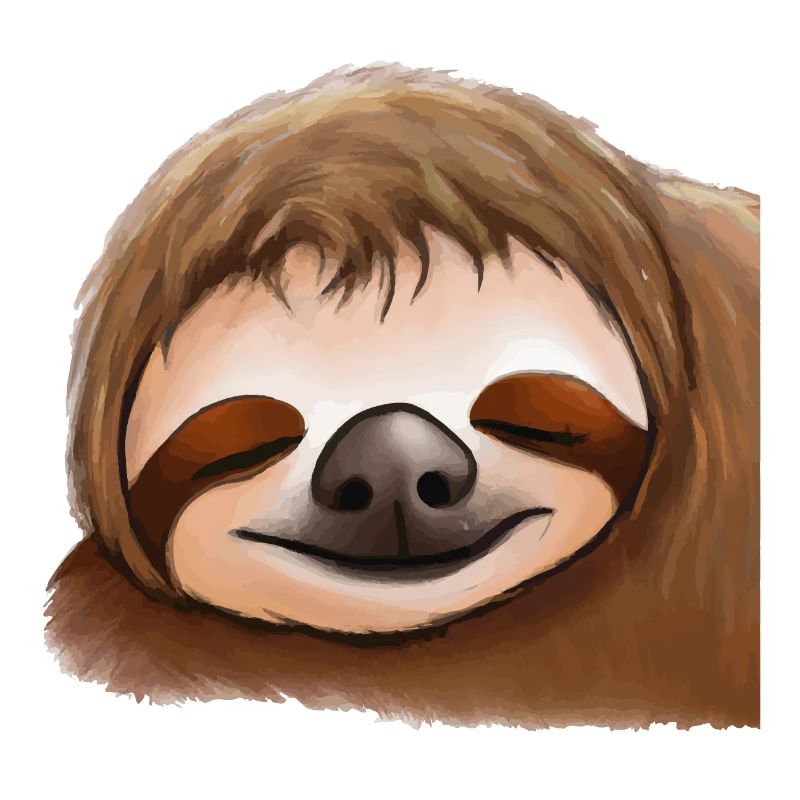 Sleeping Sloth Face
