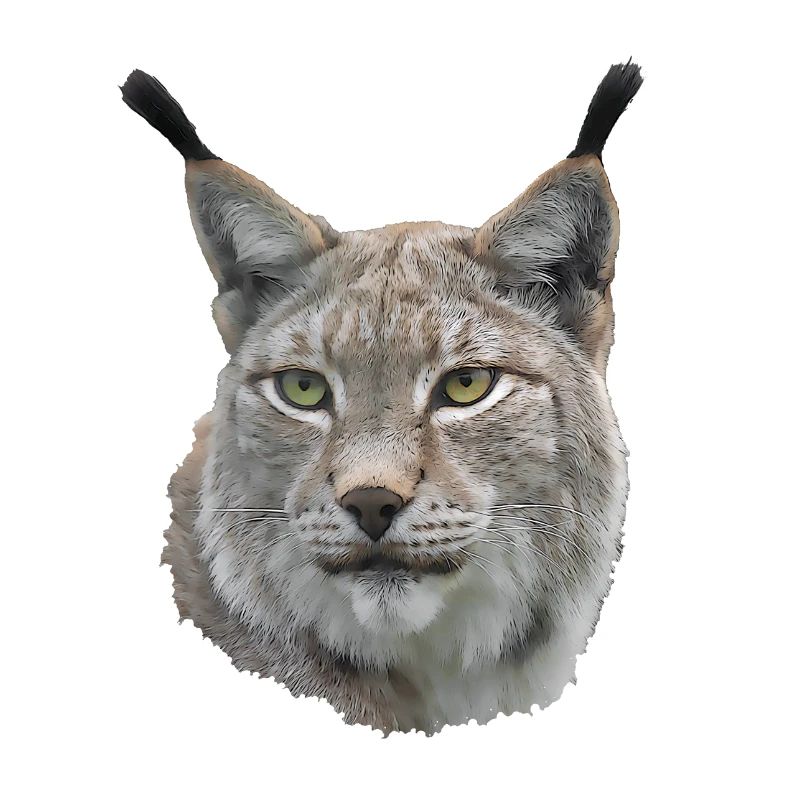 Luchs Good