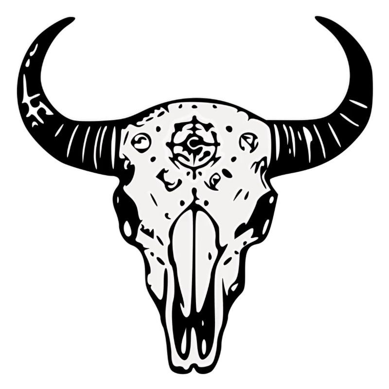Crâne de buffle