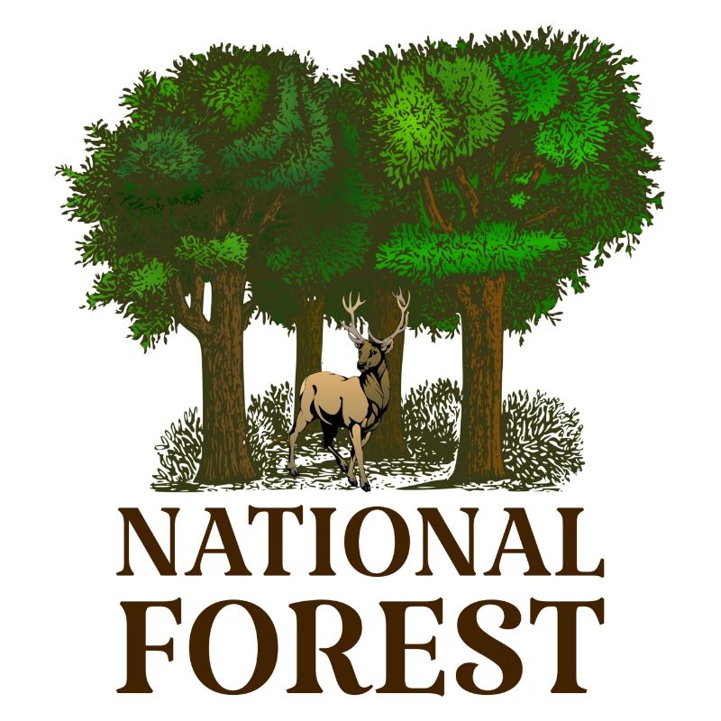 Forêt nationale