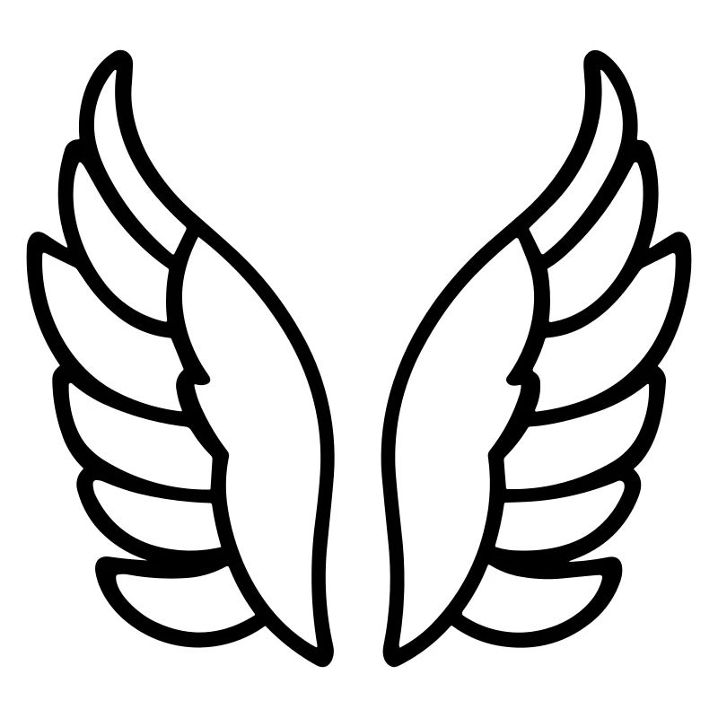 Ailes d'ange