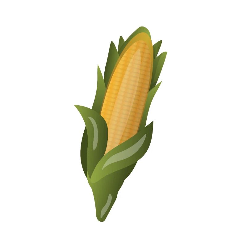 Corn corn kernel