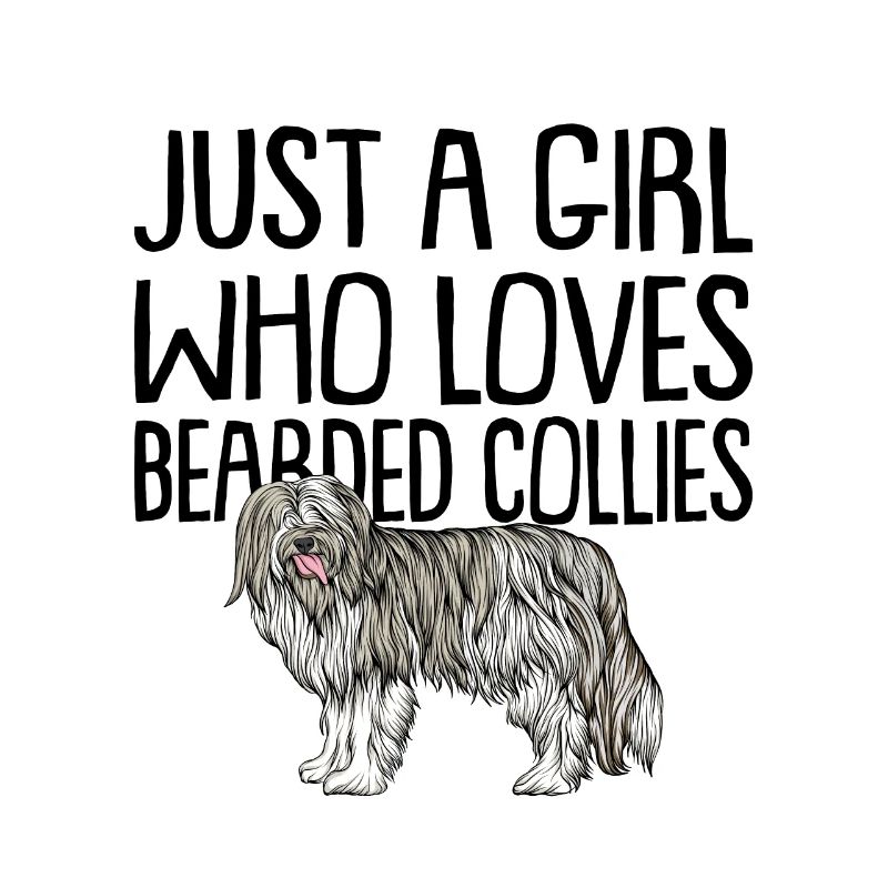 Bearded Collie